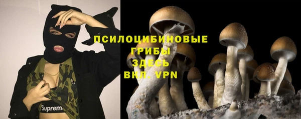 мдпв Беломорск